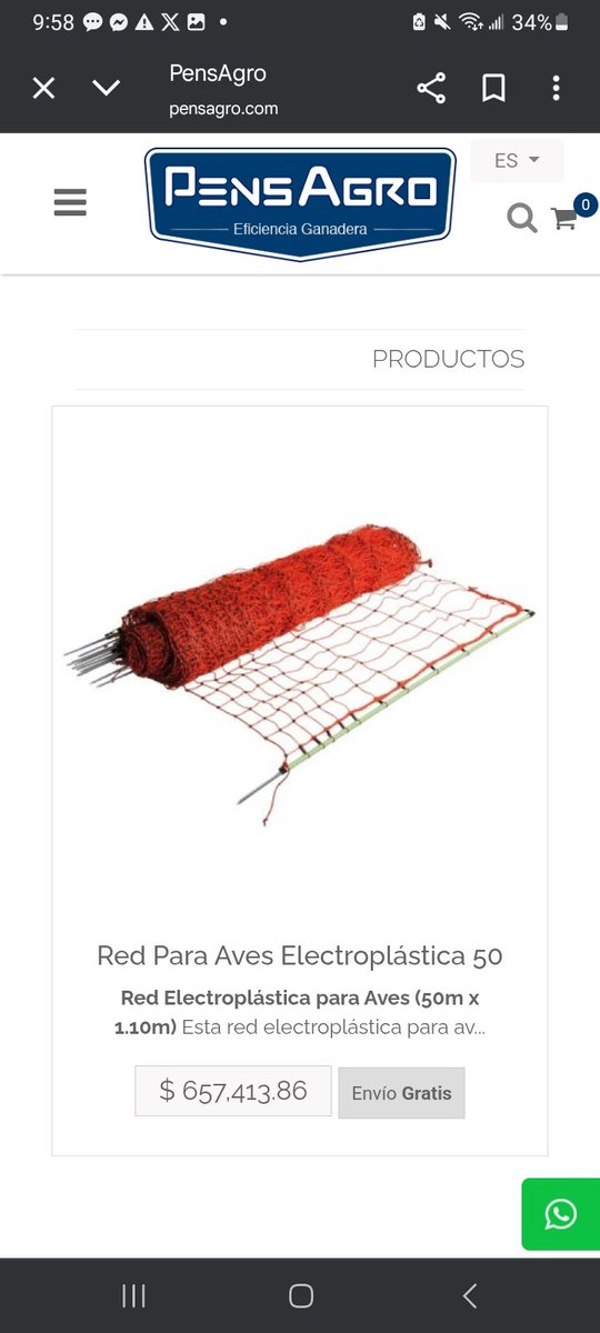 Bolsadeporlan tweet media