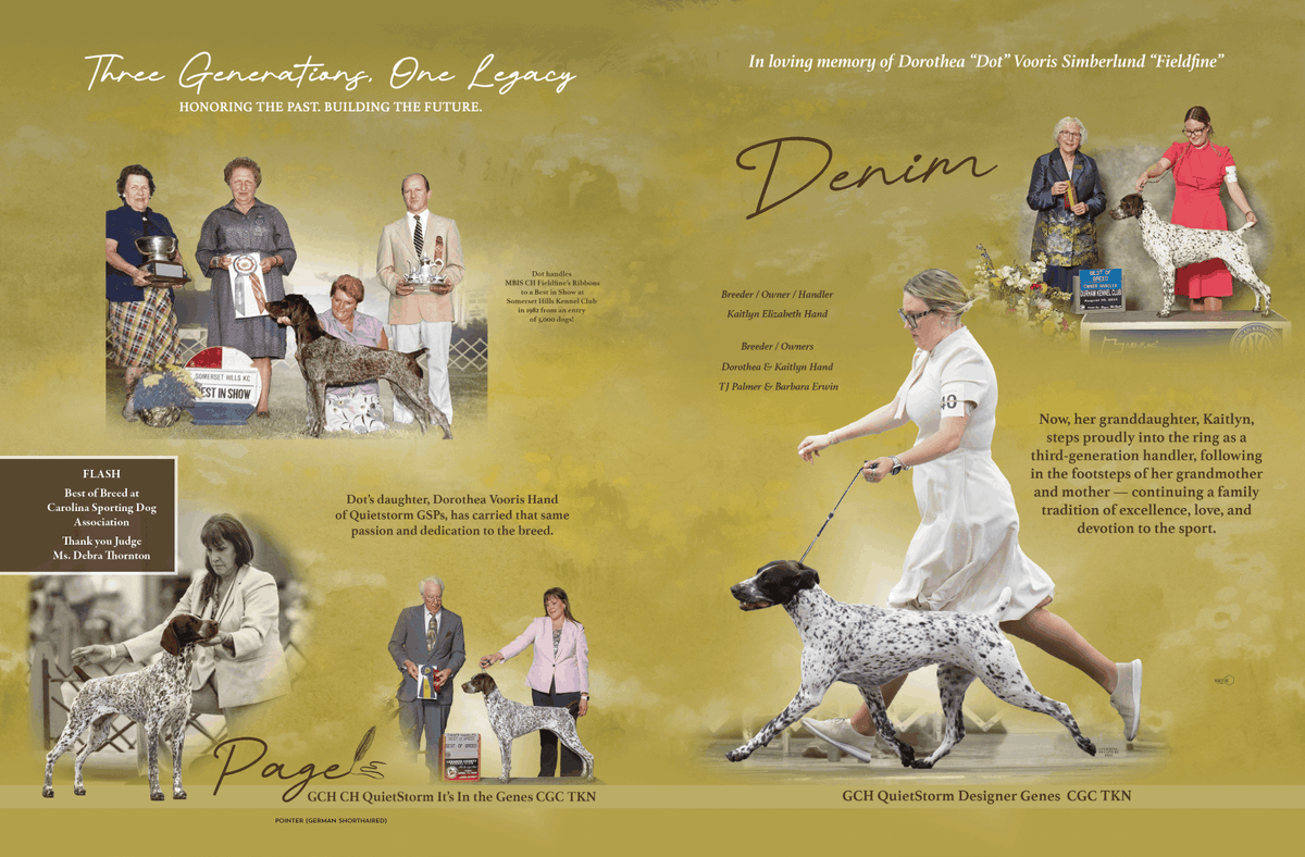 Showsight's tweet image. Three Generations, One Legacy⭐

Say Hi to Denim and Page🐾

GCH CH QuietStorm It’s In the Genes CGC TKN
GCH QuietStorm Designer Genes CGC TKN

showsightmagazine.com/dog-breeds/ger…

#germanshorthairedpointer #purebred #dogshow #dogshow2025 #bestinshow #bestinshowsight #showsightmag