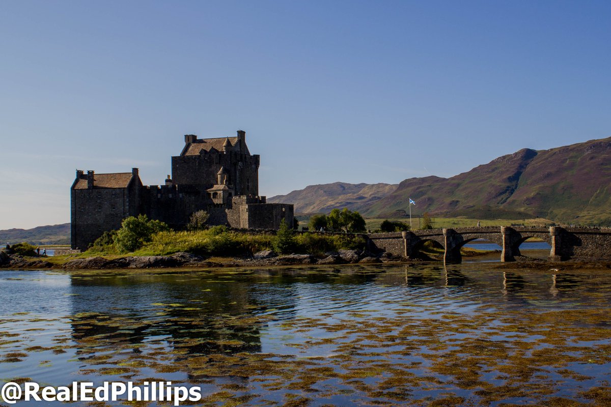 Edward Phillips tweet media