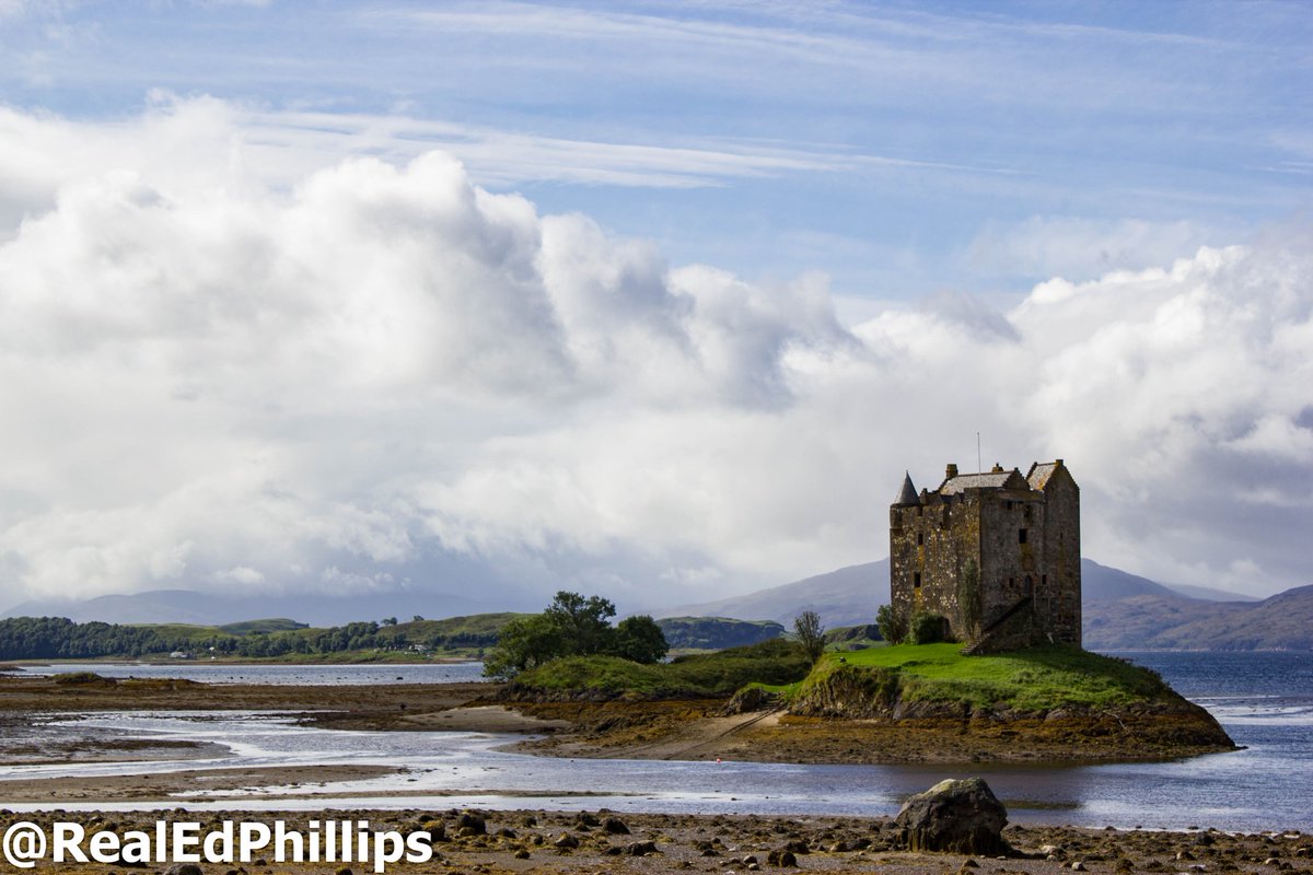 Edward Phillips tweet media