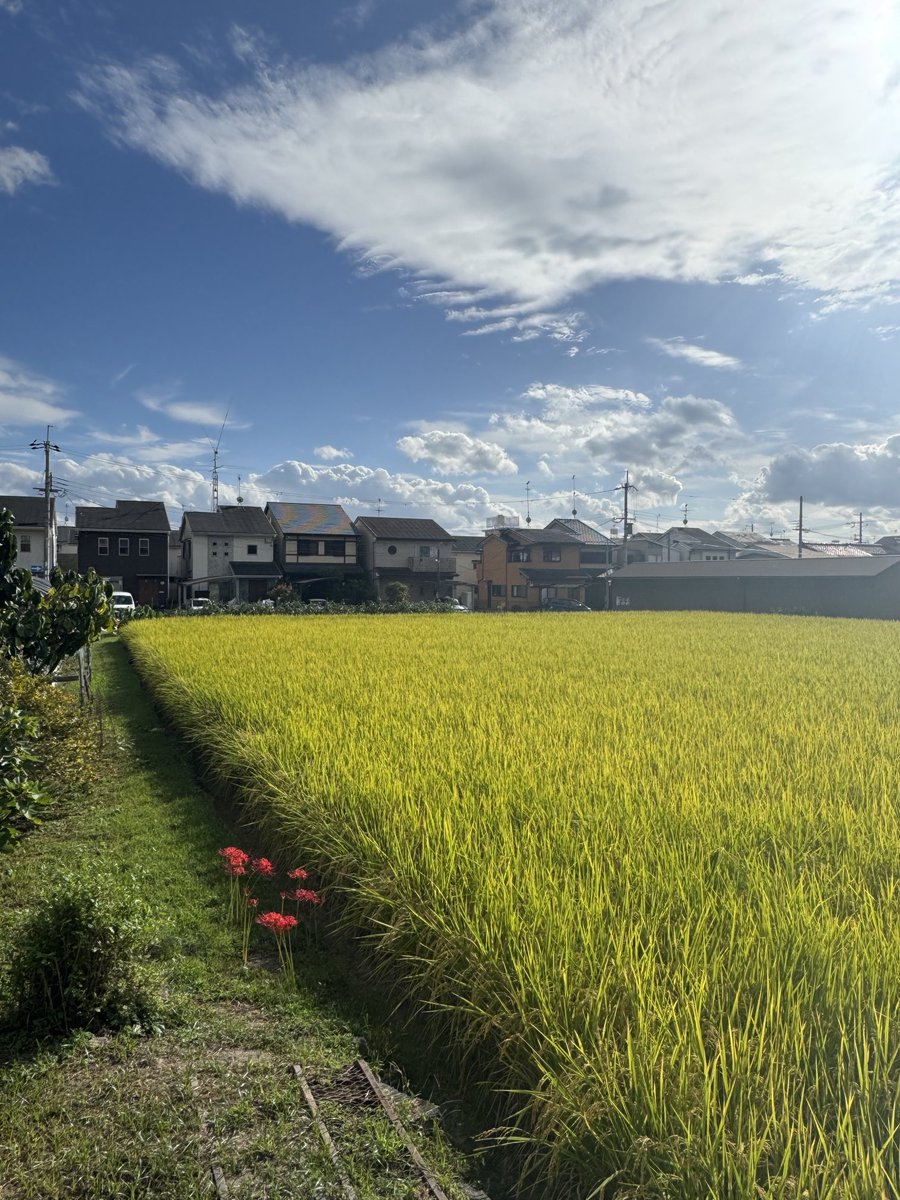 藤岡亜弥 tweet media