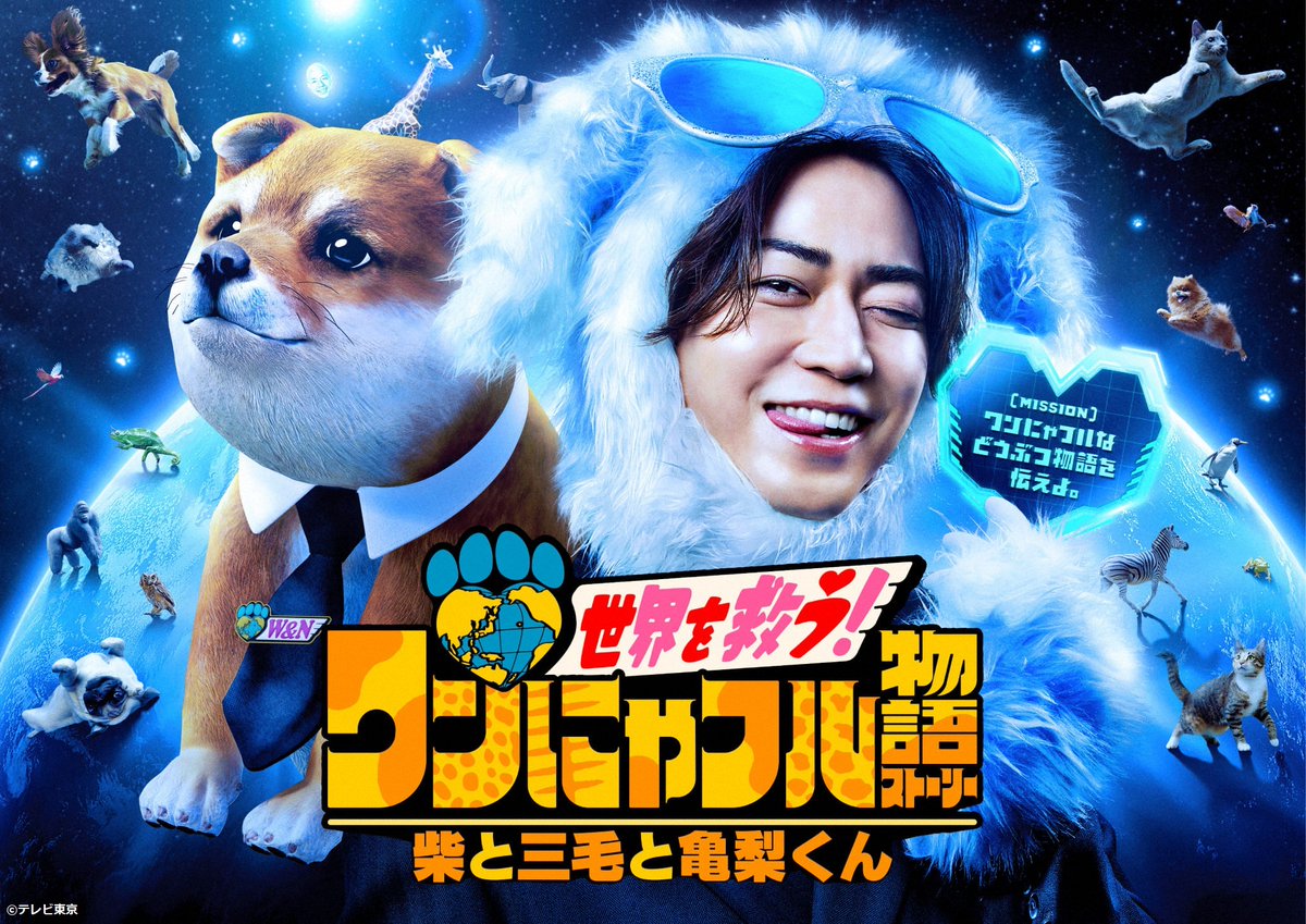 shizukukame (@greenkame4) / X