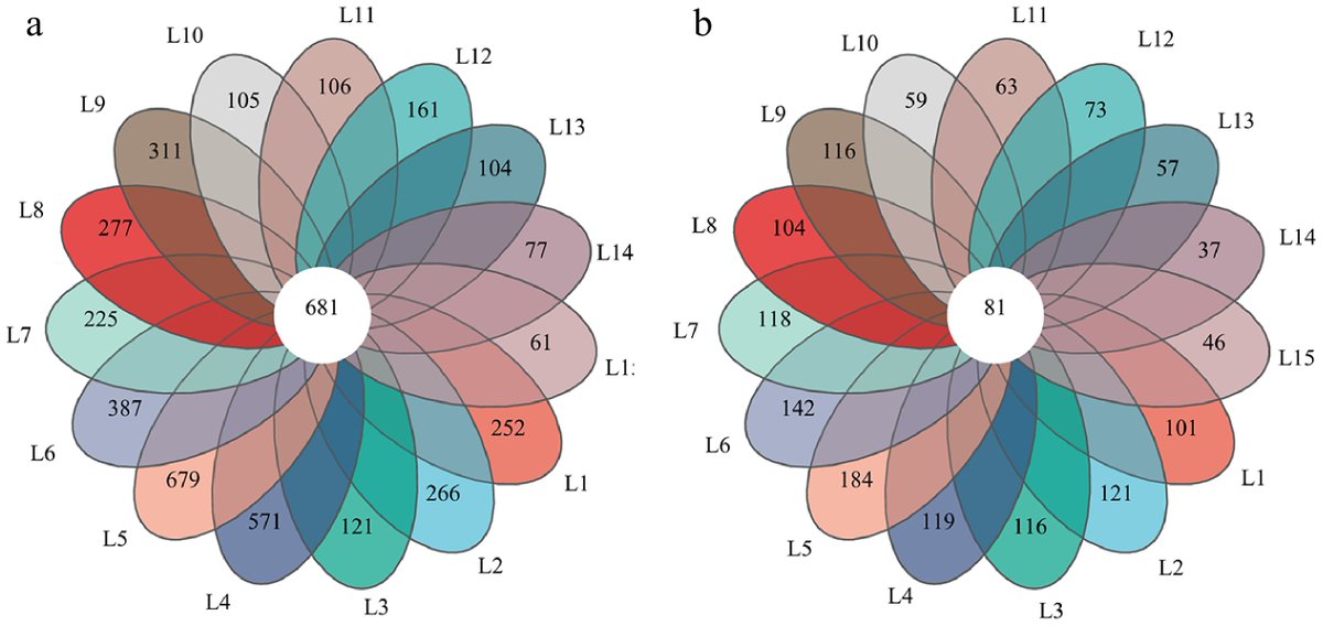 #GrassResearch #WasteSlagSoilReconstruction #ElymusNutans 🌱
25% waste slag +75% subgrade soil boosts its cover/biomass, soil nutrients &amp; microbial diversity; 100% slag fails plant establishment.
<a href="/MaximumAcademic/">Maximum Academic</a> <a href="/iLZU1909/">Lanzhou University</a>
Details: maxapress.com/article/doi/10…