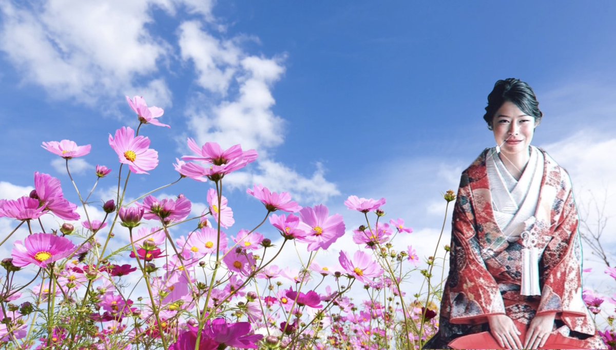Xme10endeR's tweet image. Good morning: ☀️
#Introduction of my works
This song is a cover of "秋桜(COSMOS)" sung by Momoe Yamaguchi in Kyoto dialect.
It fits the current season.
It is a song that spreads a deep feeling. Please listen to it.
This is a cover version of "秋桜(COSMOS)" sung by Momoe…