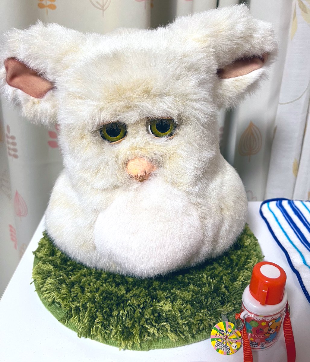 kaerupashichi's tweet photo. ファの森、ご祈祷予約しました。みなさんとはじめましてなので緊張します。よろしくお願いします。 https://t.co/8n9qWiqiki