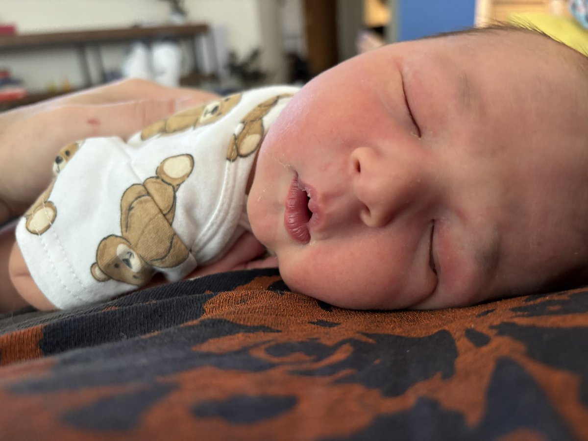 JaredSpitzMD tweet media