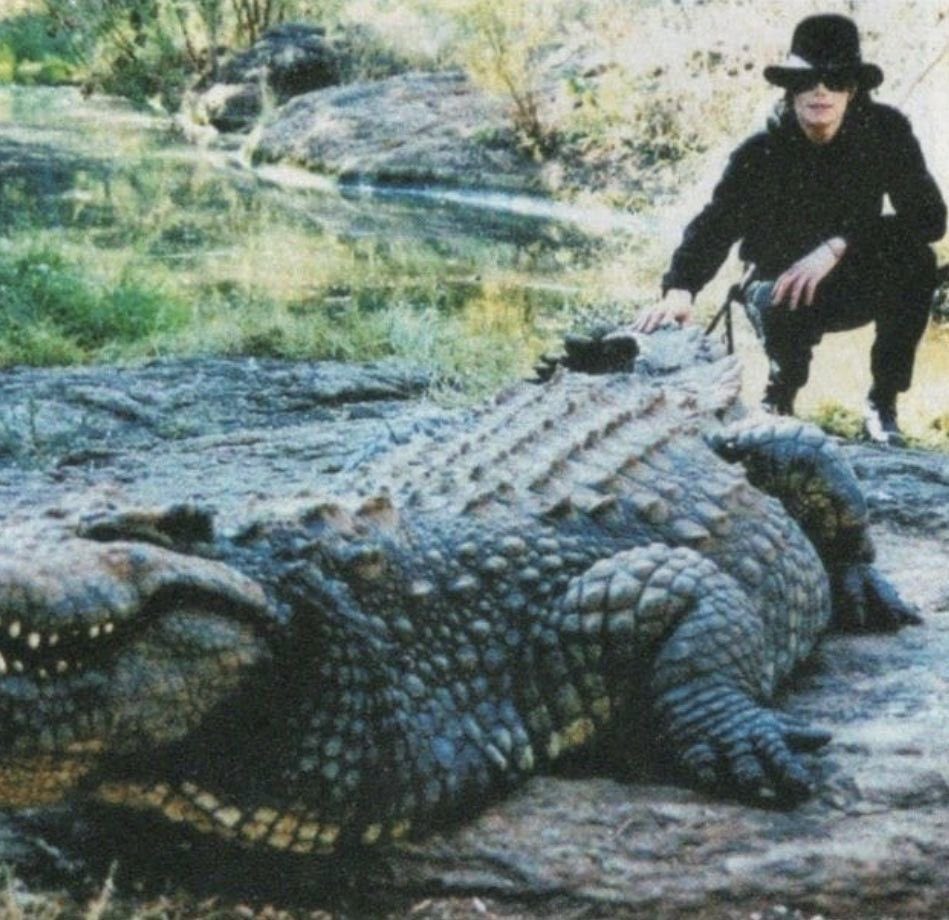 small dogs? no. gators? yes. 
m you confuse me