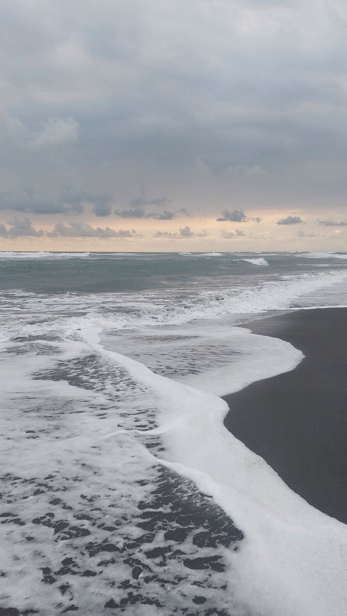 amacaron's tweet image. 🌳 start-the-day by exploring the forest (&amp;amp;.) nature is always the best place.