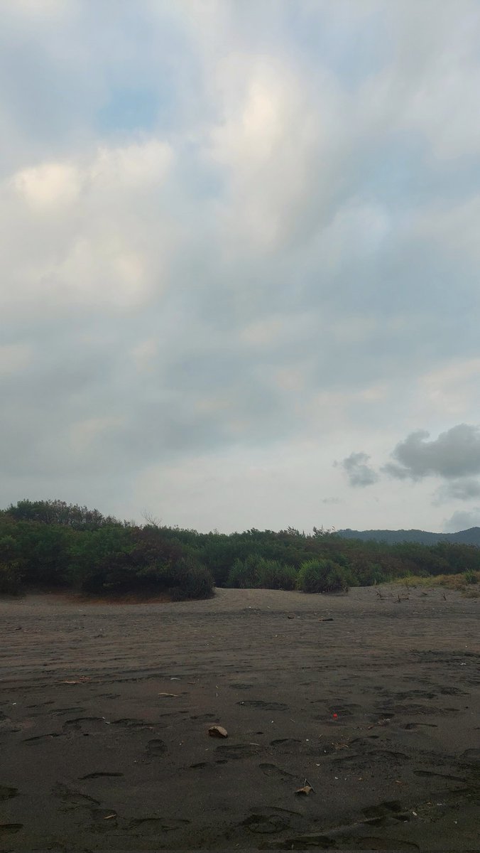 amacaron's tweet image. 🌳 start-the-day by exploring the forest (&amp;amp;.) nature is always the best place.