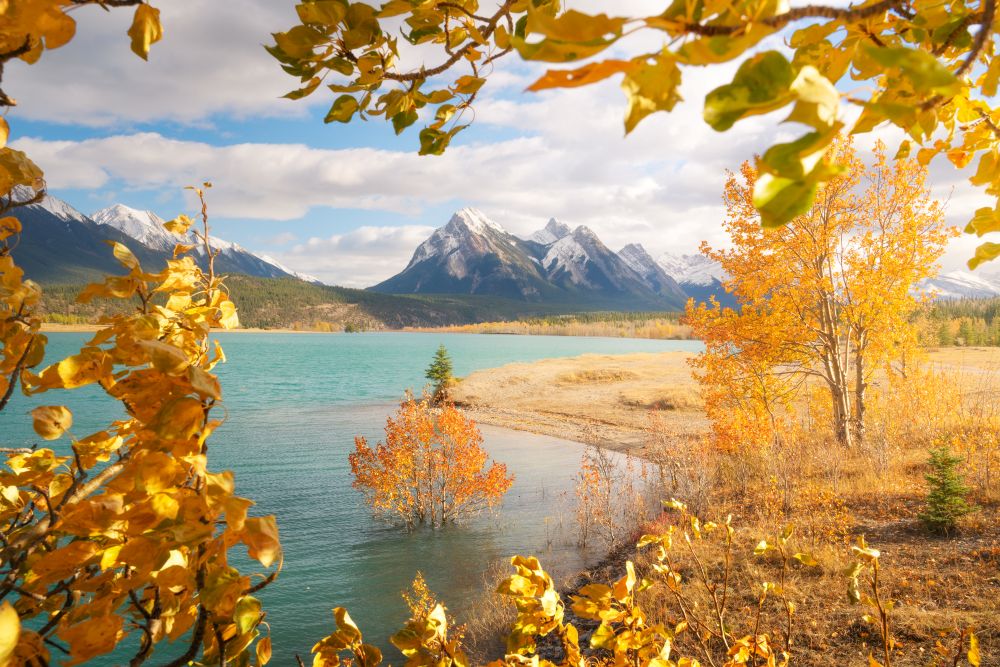 whereedmonton's tweet photo. Fall in Alberta is beautiful and unpredictable — sun, snow, and snack emergencies are all on the table.
Here’s your family road trip packing list to handle it all:
👉 https://t.co/ub2fgUgWma
#FallInAlberta, #AlbertaRoadTrips, #FamilyTravelCanada, #ExploreAlberta, #RoadTripReady https://t.co/qcotaMeAdy