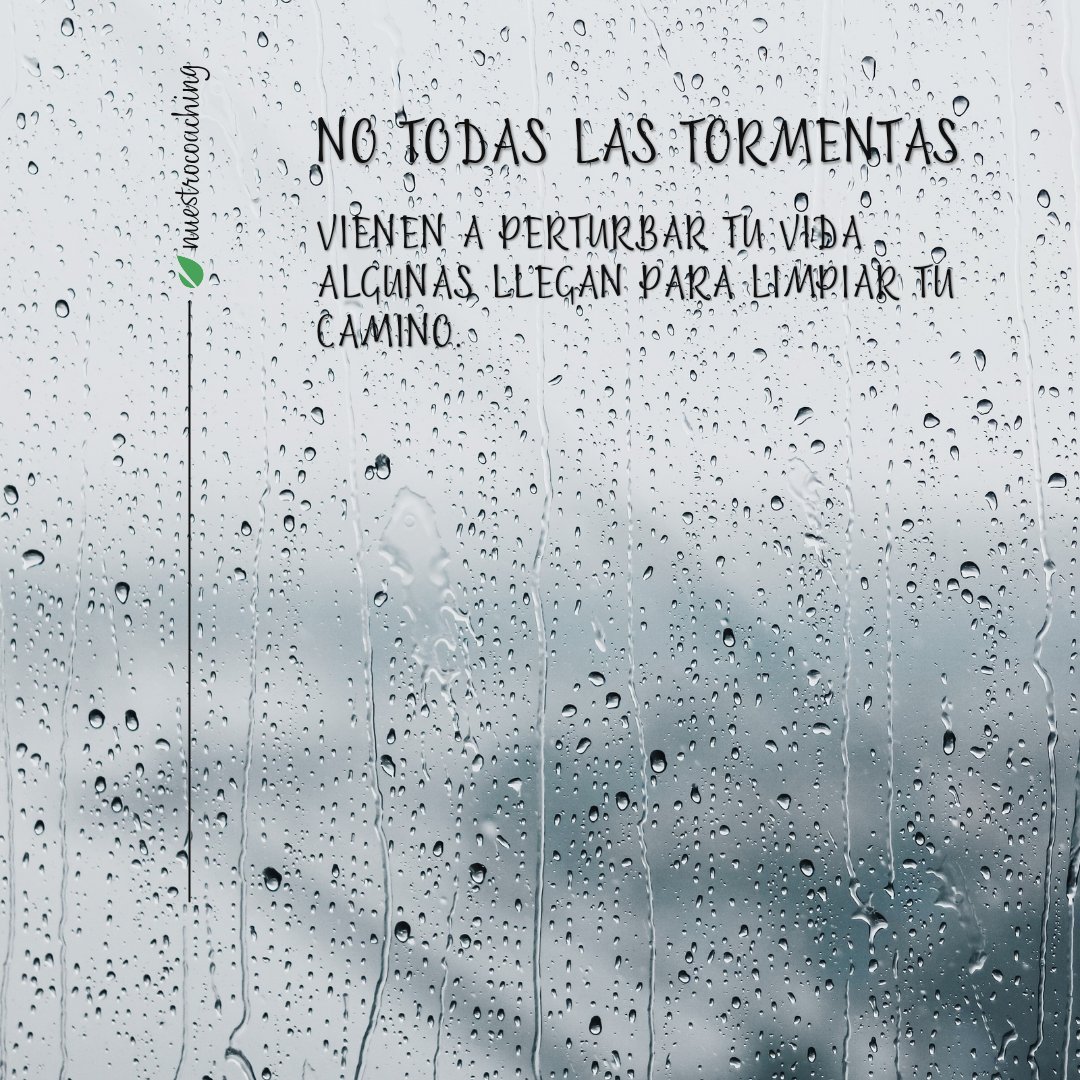 nuestrocoaching's tweet photo. No todas las tormentas vienen a perturbarte.Algunas llegan para limpiar tu camino. ⛈️✨

Después de la lluvia, el camino siempre está más despejado. Confía en el proceso.

#SuperaciónPersonal #Resiliencia https://t.co/zyyv9HQZaR