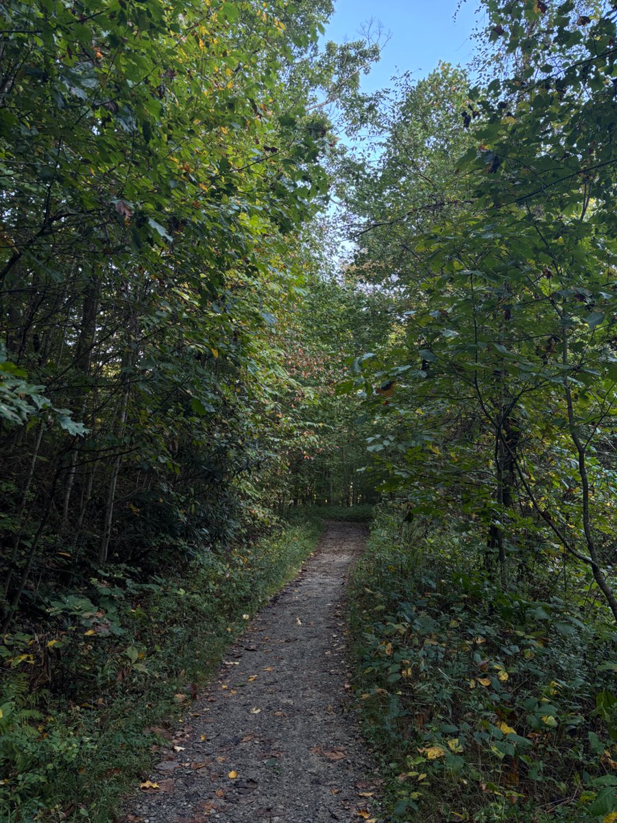 skammin's tweet photo. Today I walked 5 miles in Pisgah forest and made lasagna for dinner :) https://t.co/kdUmEwkhSc