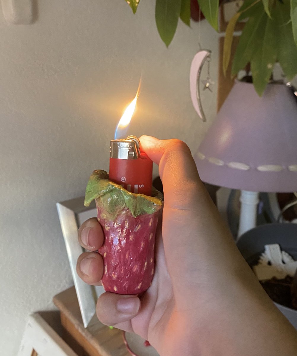 🍓 lighter case