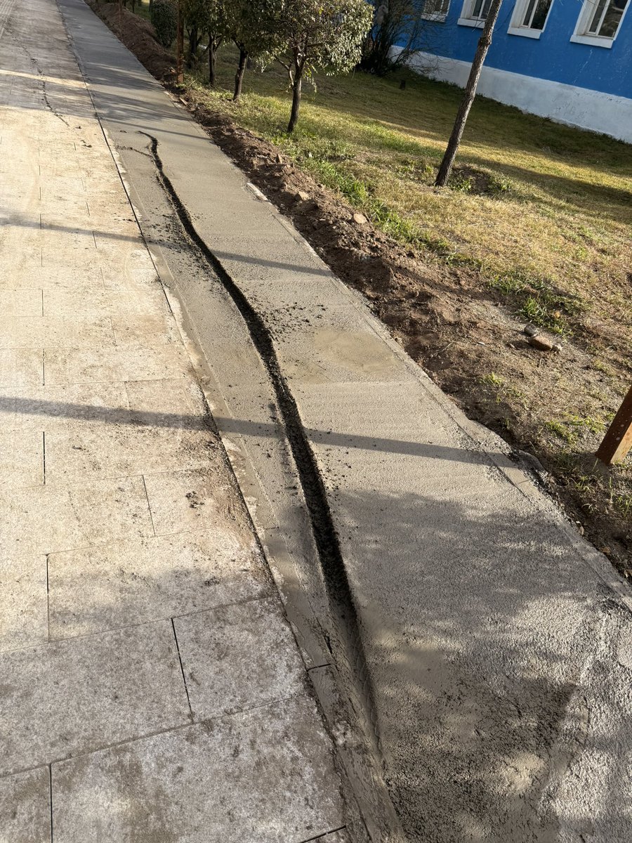 Why хүмүүс ийм хорлонтой юм бэ?