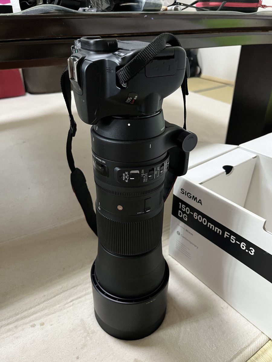 かぴぃ tweet media