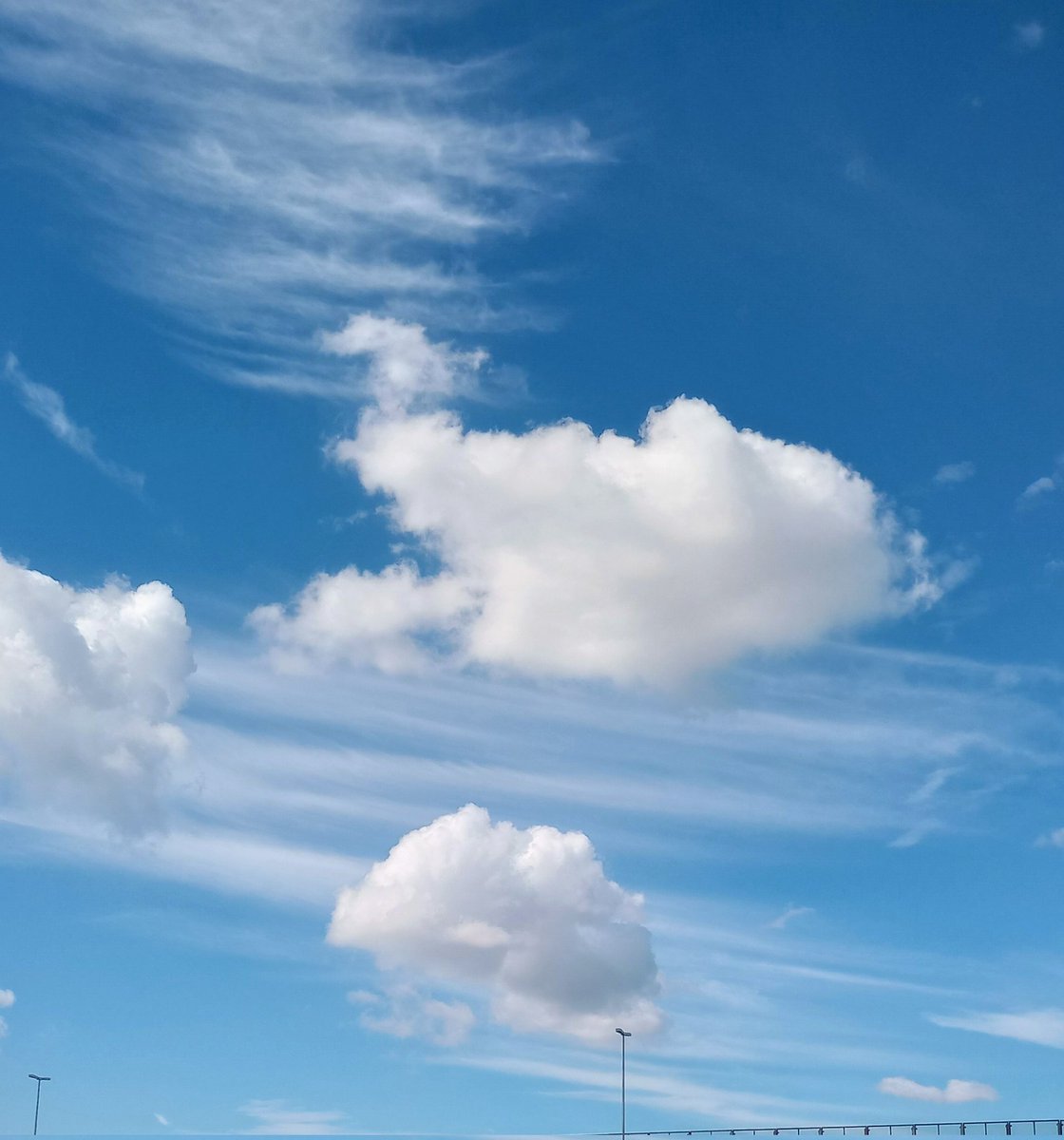 夏雲と秋雲の☁️の融合
イマソラ