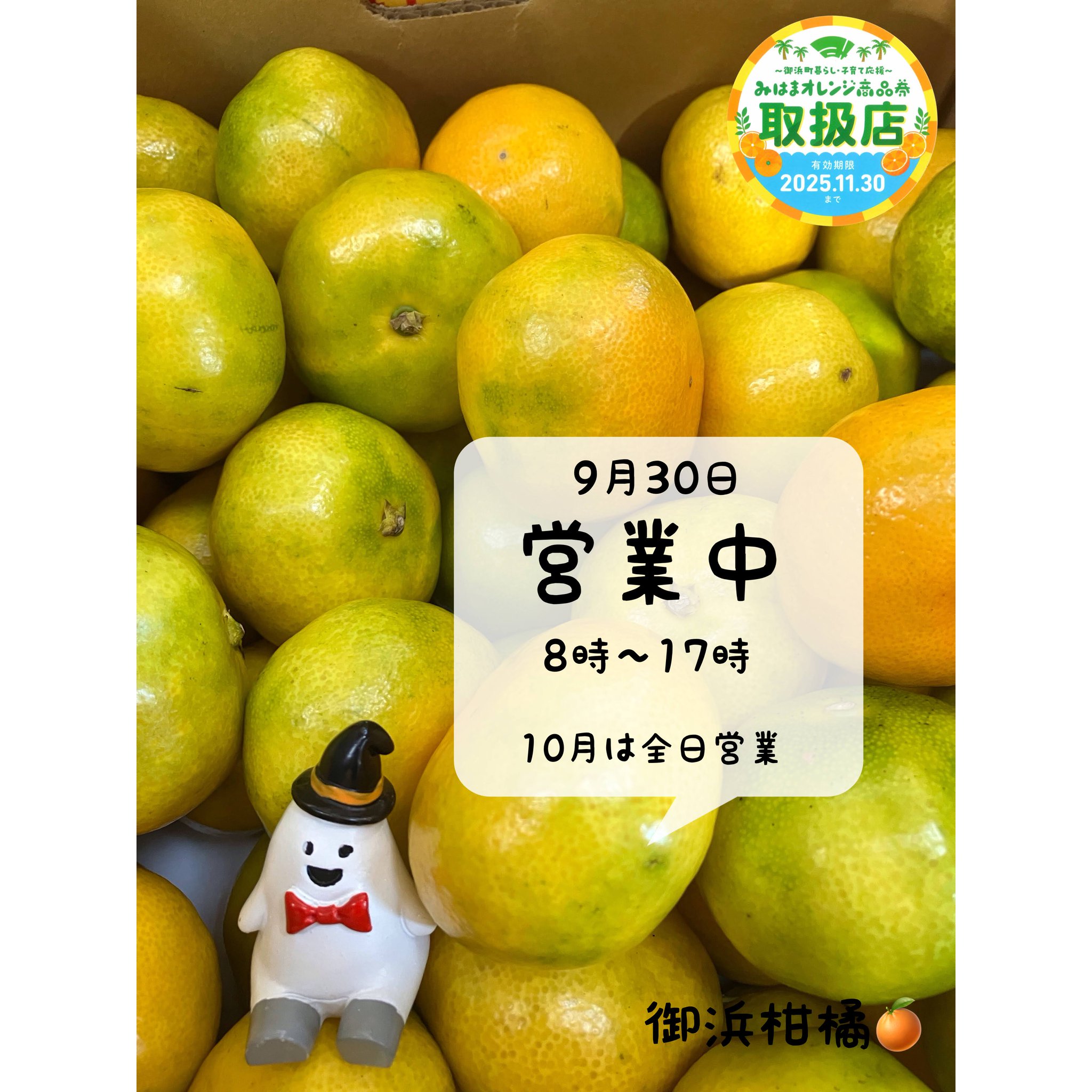 リピーター様みかん様御購入品☆ こだわりみかん”の御浜柑橘 on X: 