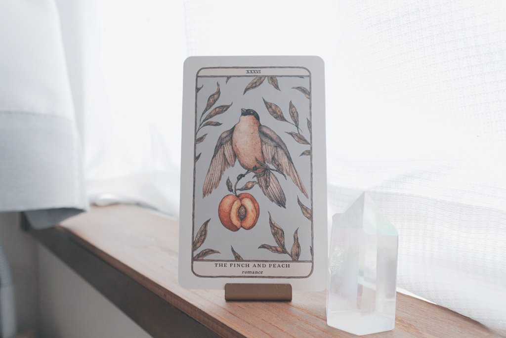 今日のわたしのためのオラクルカード。
自分にも大切な人にも、愛をたくさん与えてあげましょう。どうしたらそれが伝わるのか、よく考えてみてね。