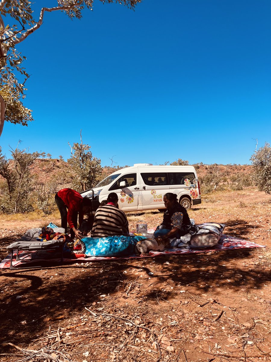 Indi Kindi tweet media