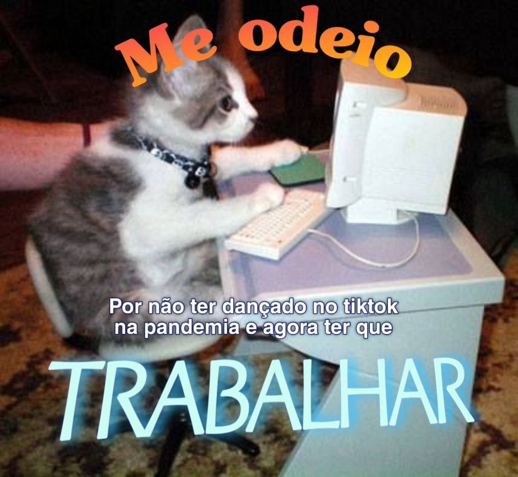 shitpostverdade's tweet photo. https://t.co/0WjozbCbRl