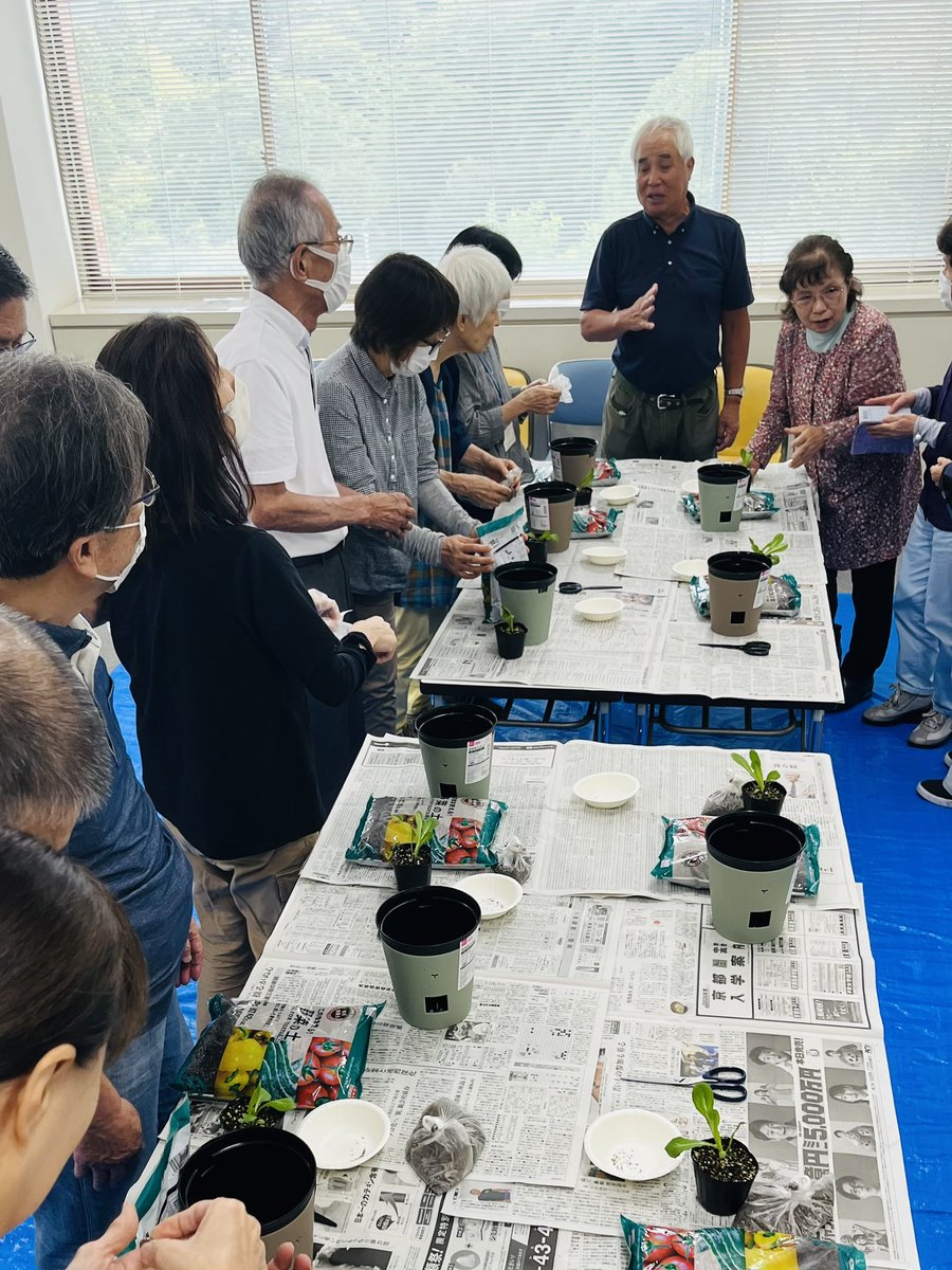 kamesikyo's tweet photo. 今年もレタス栽培に挑戦！

講師は、本会会員の青嶋靖さんです

【ロメインレタス】という、あまり馴染みのないレタスですが、煮ても、炒めても、シャキシャキ食感が残ってとても美味しくいただける���うです

収穫の目安は11月初旬ごろ

収穫後ロメインレタスの食感を存分に楽しみたいです

#視覚障害 https://t.co/koekCnKcOX