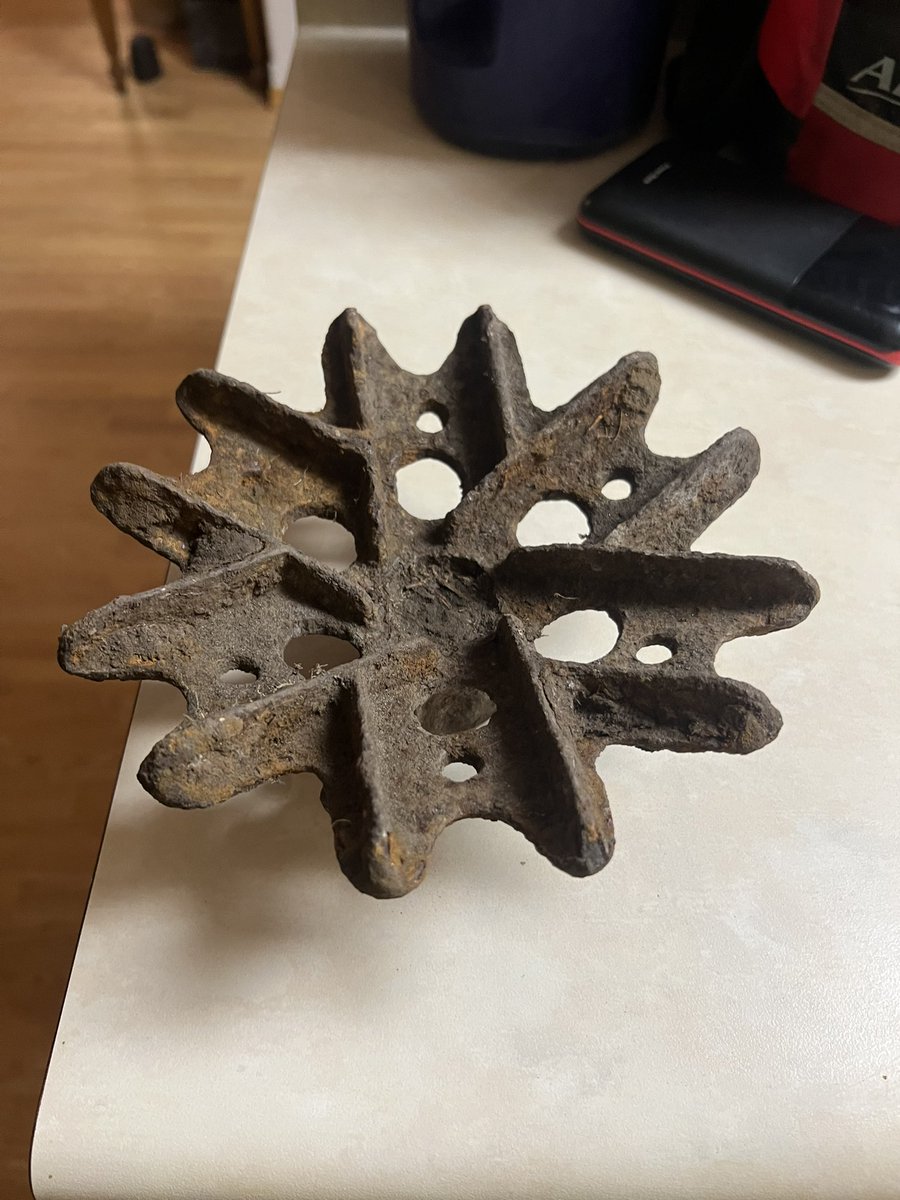 Does anyone know what this is found it on the potato line today