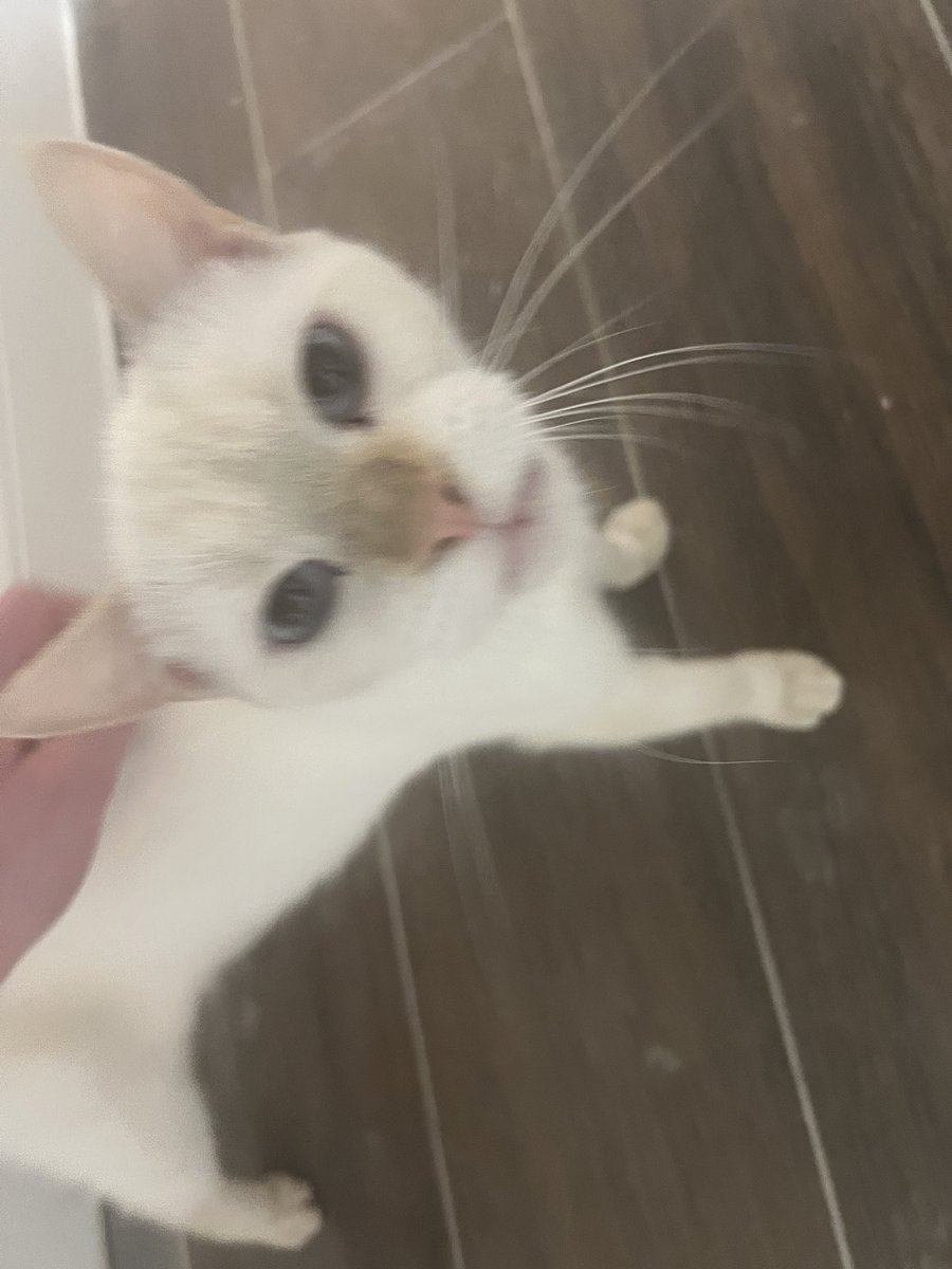 marble 🎱🐝 tweet media