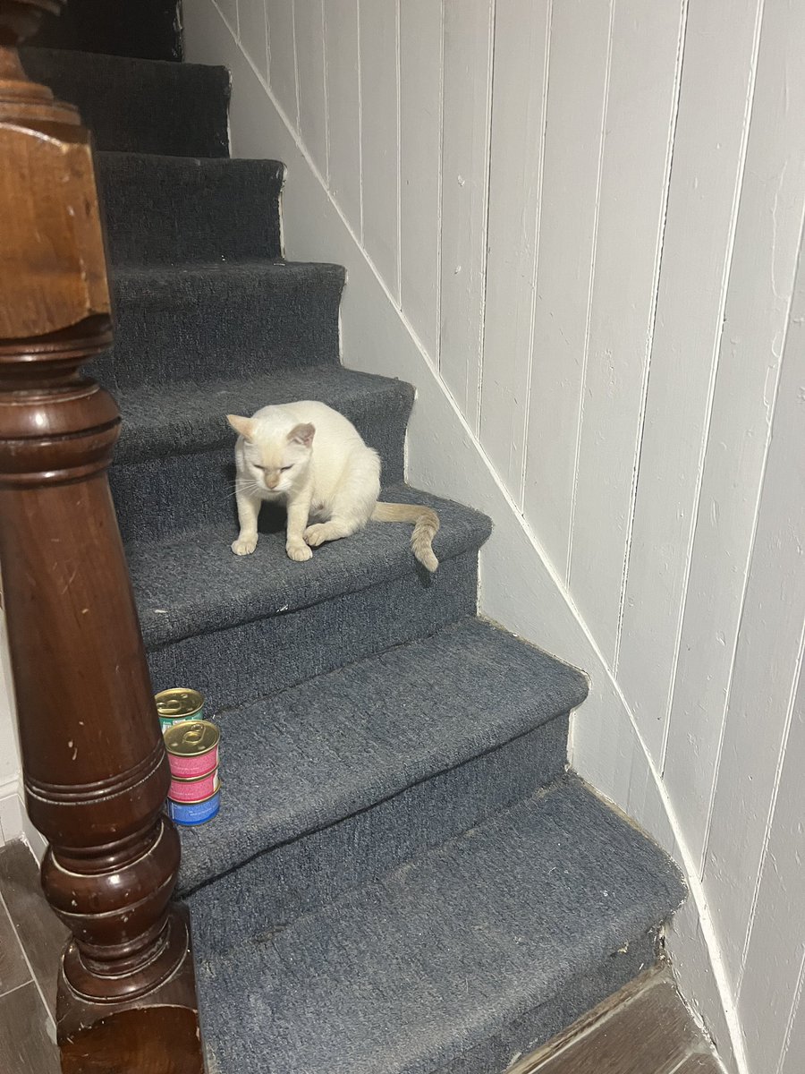 marble 🎱🐝 tweet media