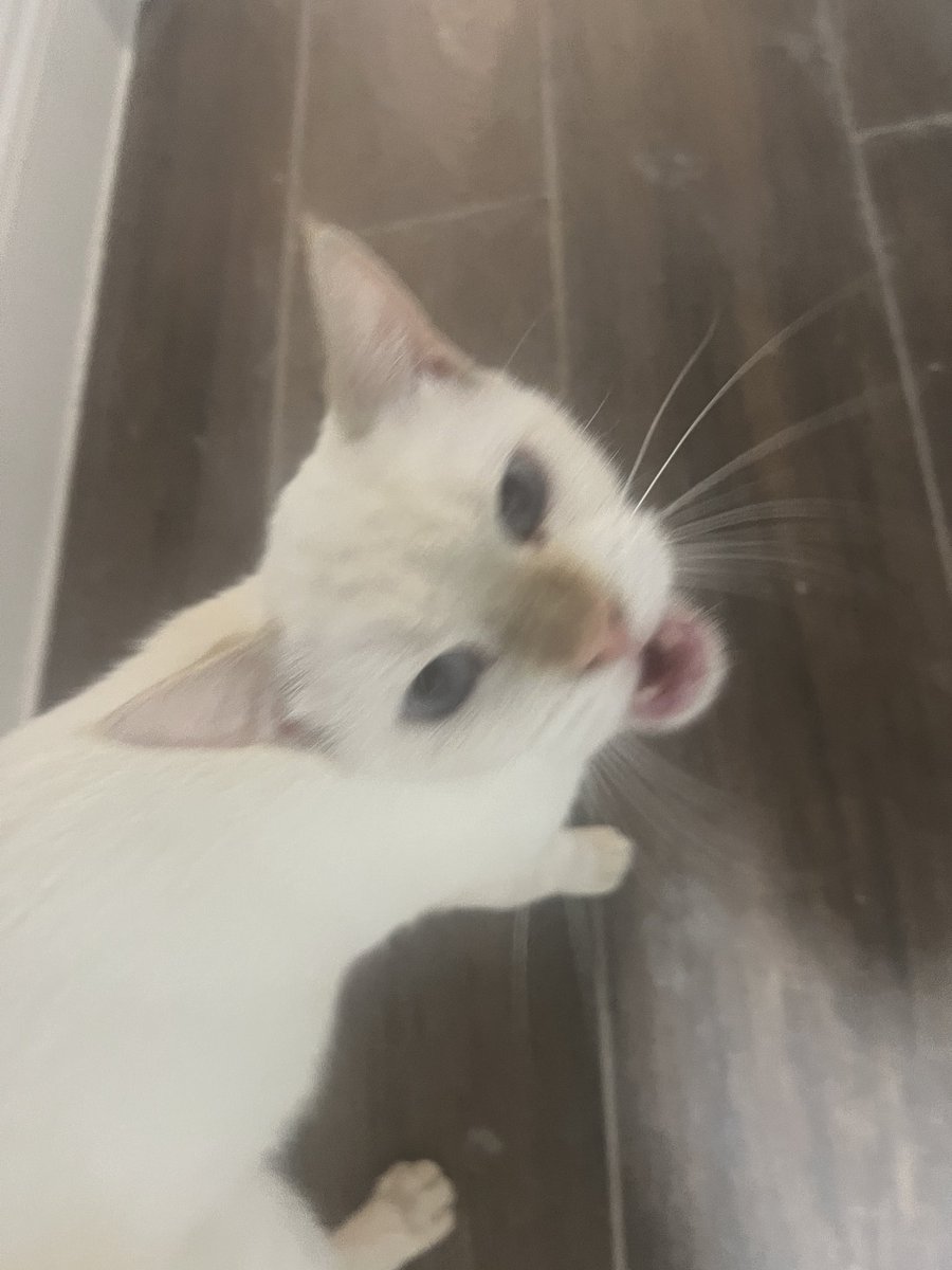 marble 🎱🐝 tweet media