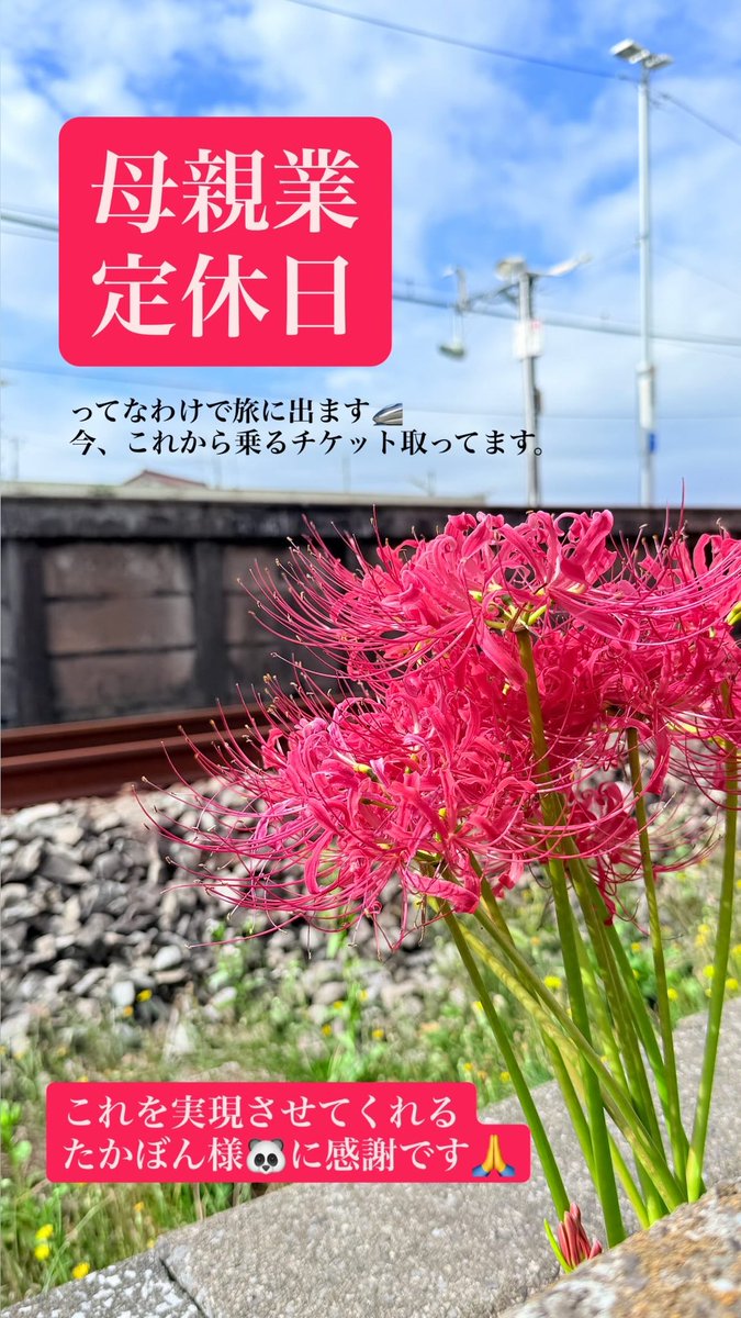 曼珠沙華が綺麗な時期になって参りました✨

本日は、わたしのわがままをたかぼん様のご厚意で叶えてくれるという日でございます。

母親業定休日

直近で決めたのに、『いいよ！』と言ってくれるたかぼん様✨感謝🙏

旅に出ます。
すでに出発してるのに電車に乗りながら🚄🎫諸々ゲットしております。