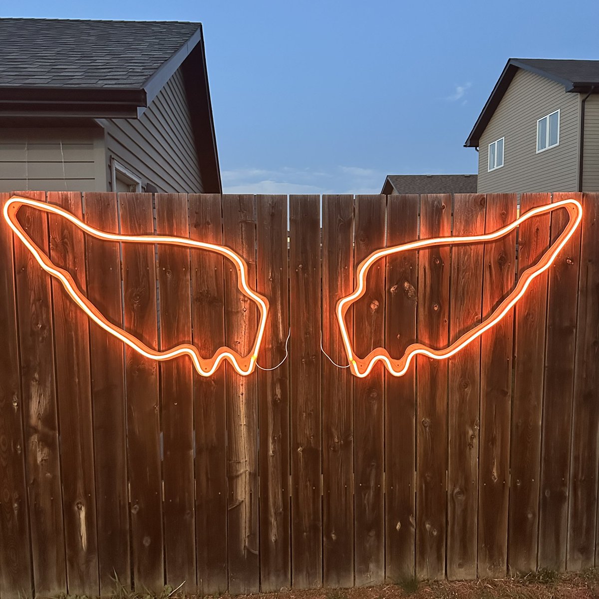@wingsofyxe tweet media