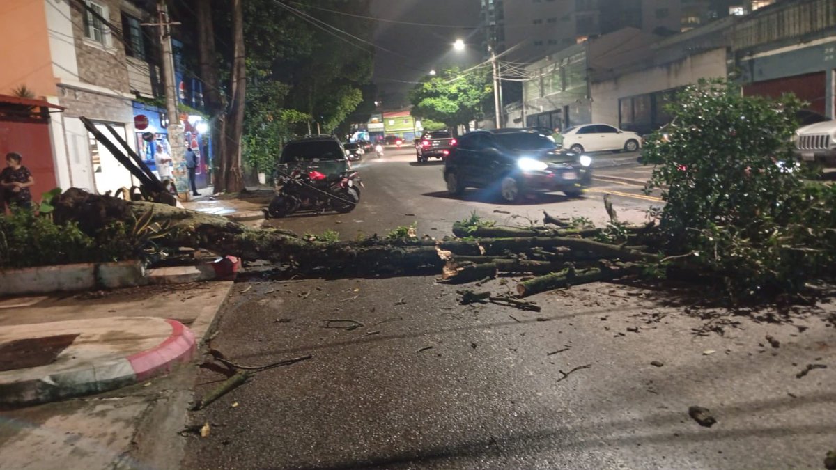 PMTMuniGuate's tweet photo. #PMTinforma

ÁRBOL CAÍDO 🌳

9 calle 24-21, zona 14. Agentes PMT y equipo de limpia y verde trabajando en el lugar para liberar la vía.

#TrabajarParaServir #SiempreEstamos #MumiGuateAlFrente #TraficoGT https://t.co/Nw10zT2Bsh