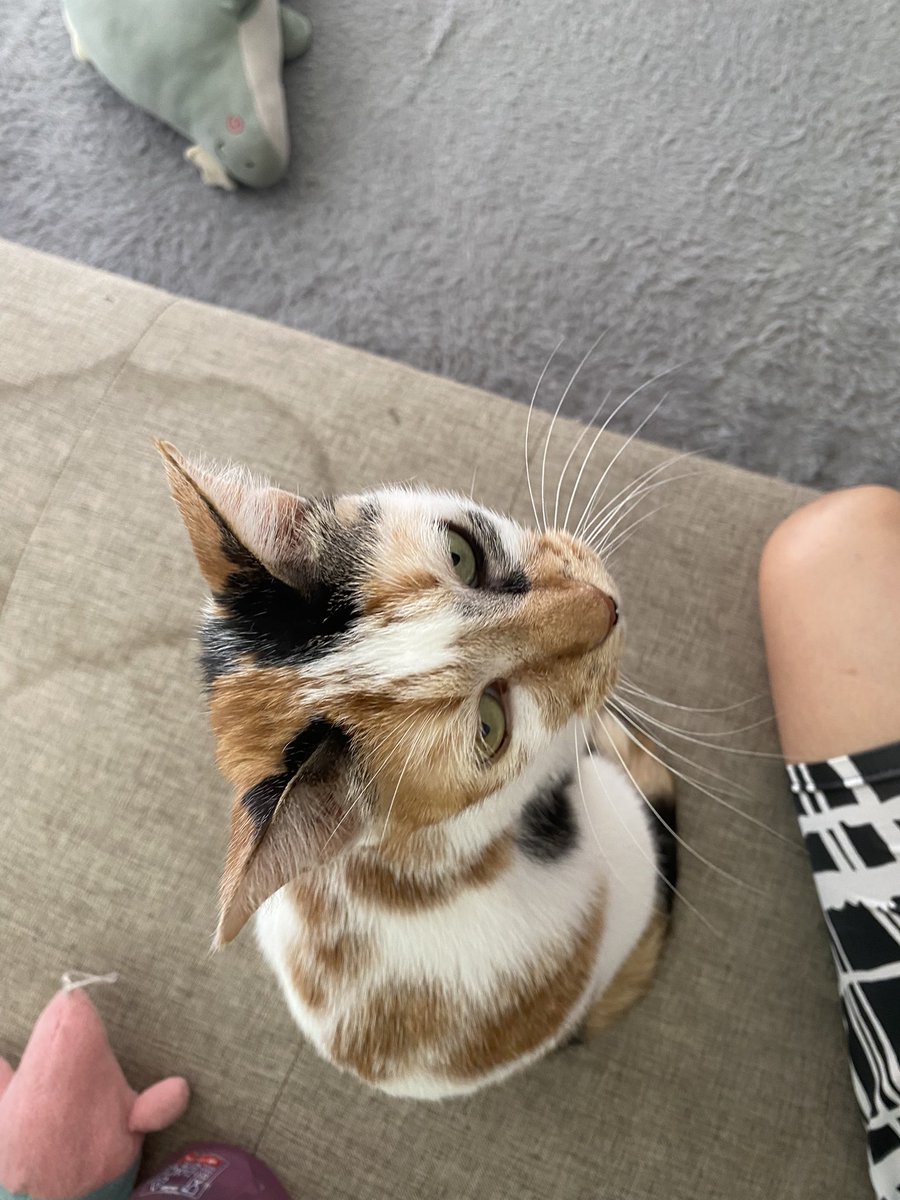 met pagy all,,, knp mba gk mau ngeluarin ak yh pdhl dh janji,,, 😔