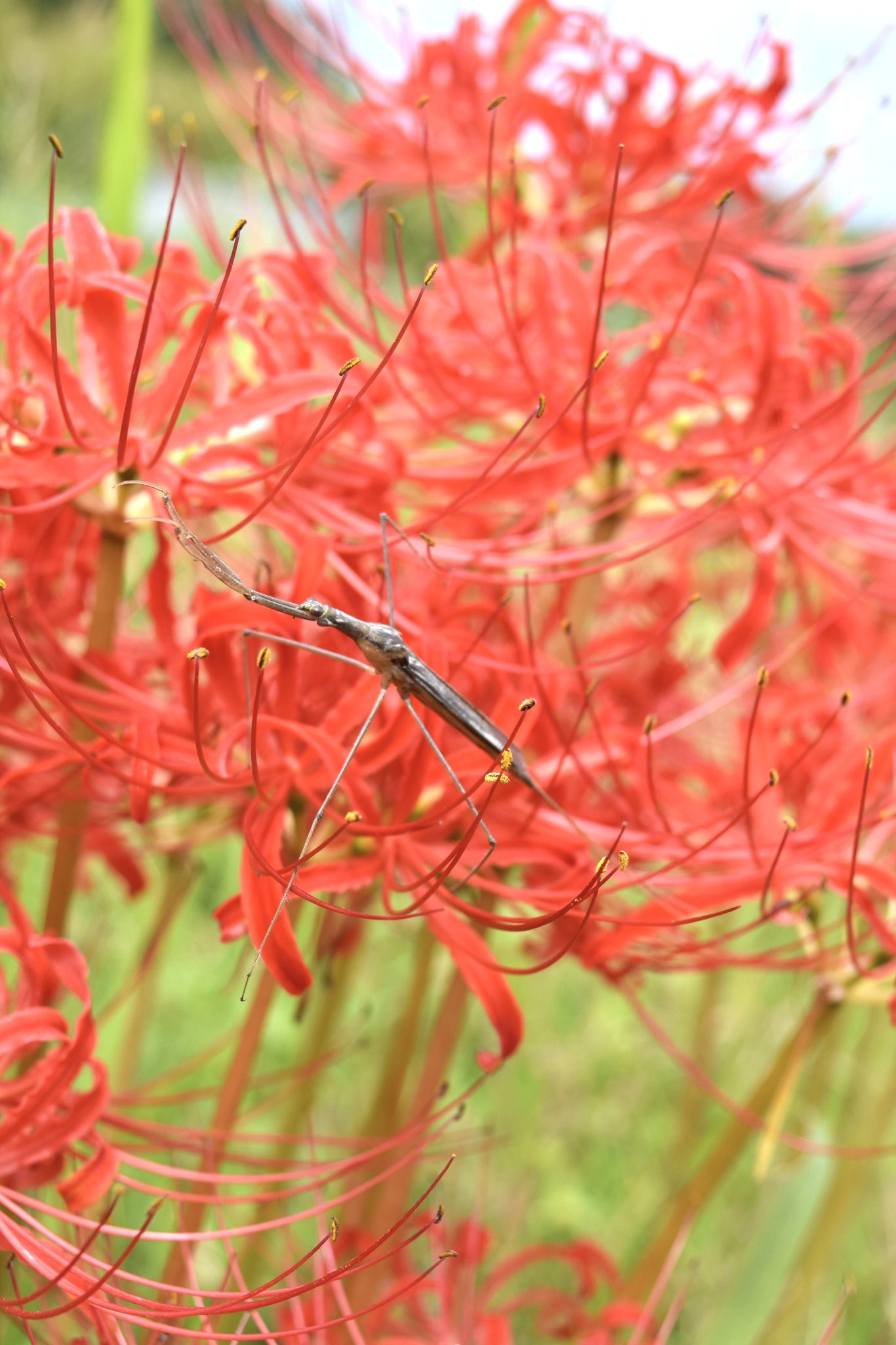 YUMIKOです。 Yumiko (@m2_yumiko) / X