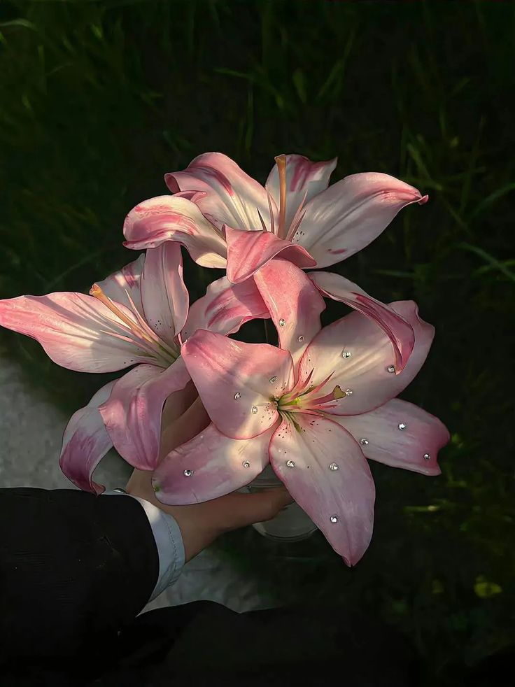 ดอกไม้ยามเช้านะครับคนสวย <a href="/bar_9t/">BAR</a>