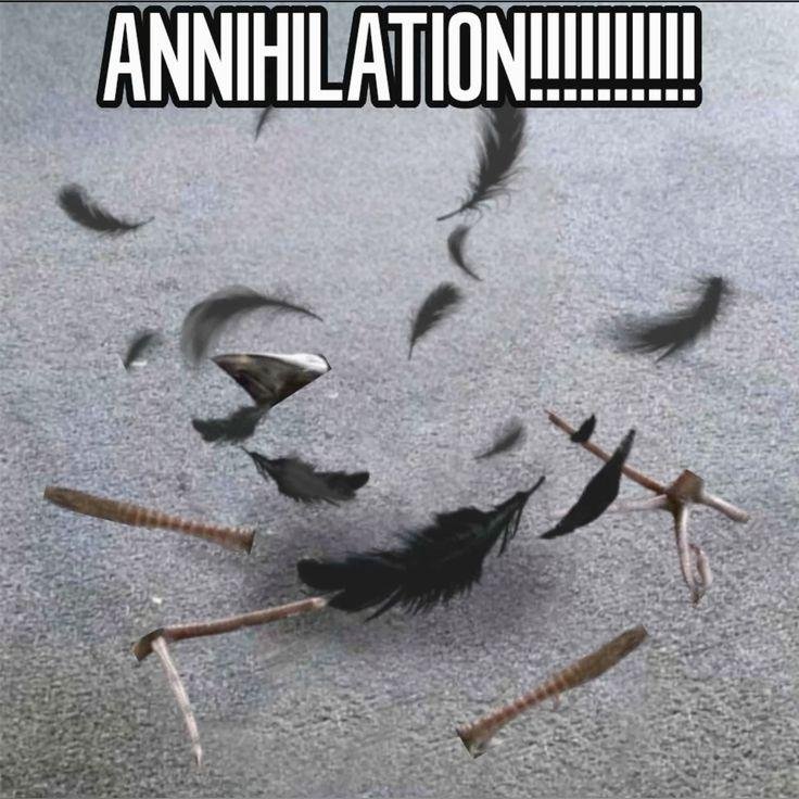 raaznak🤍💙🤍 tweet media