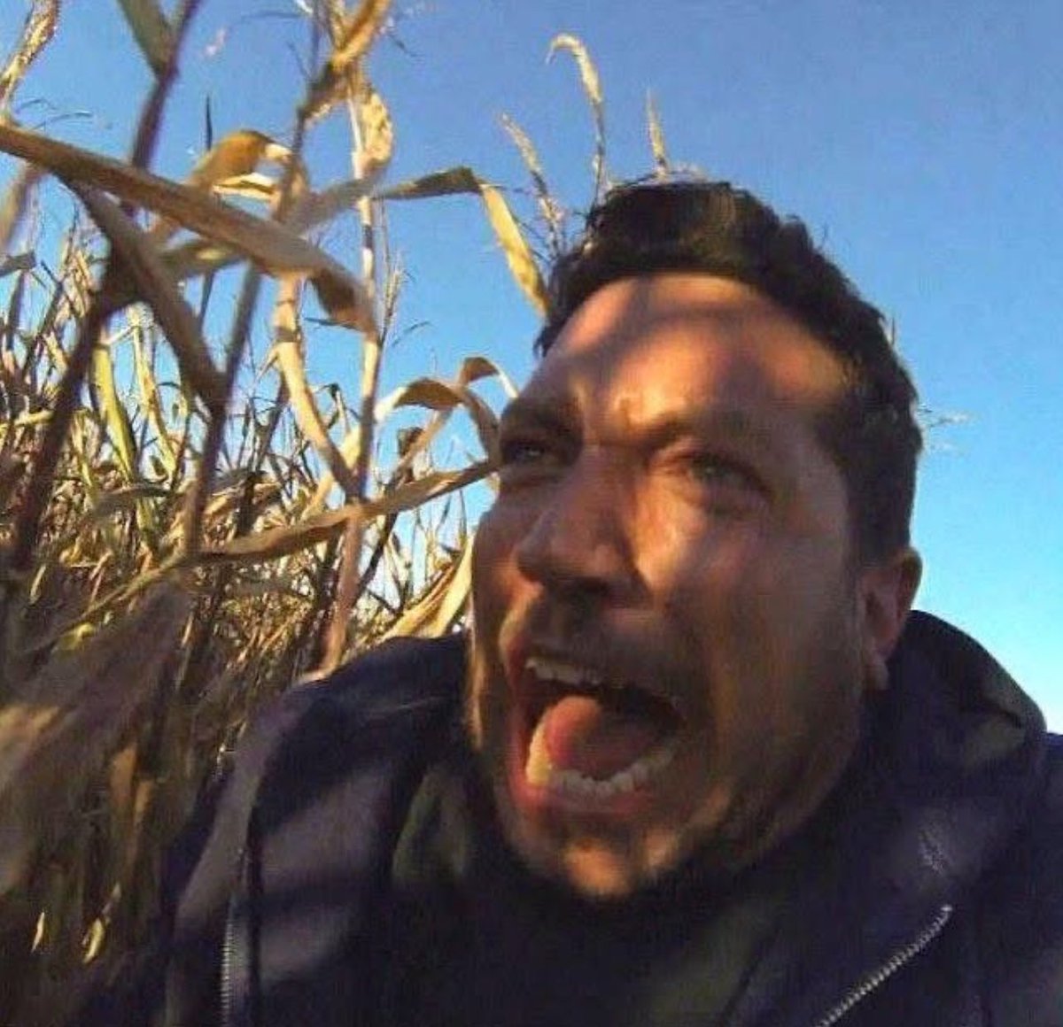 97Vercetti's tweet photo. “I love haunted mazes!”

me the entire time: https://t.co/Fng6h15tne
