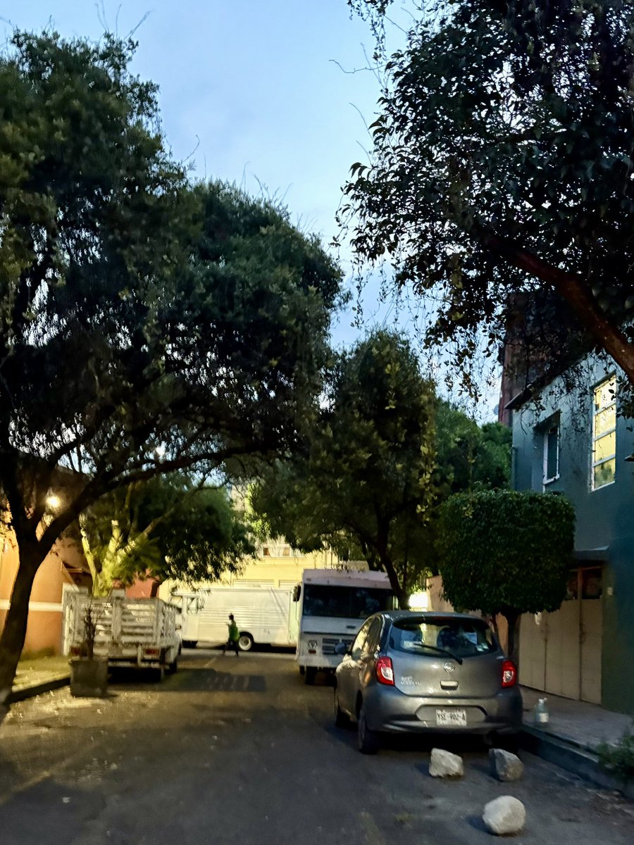 nat teutle tweet media