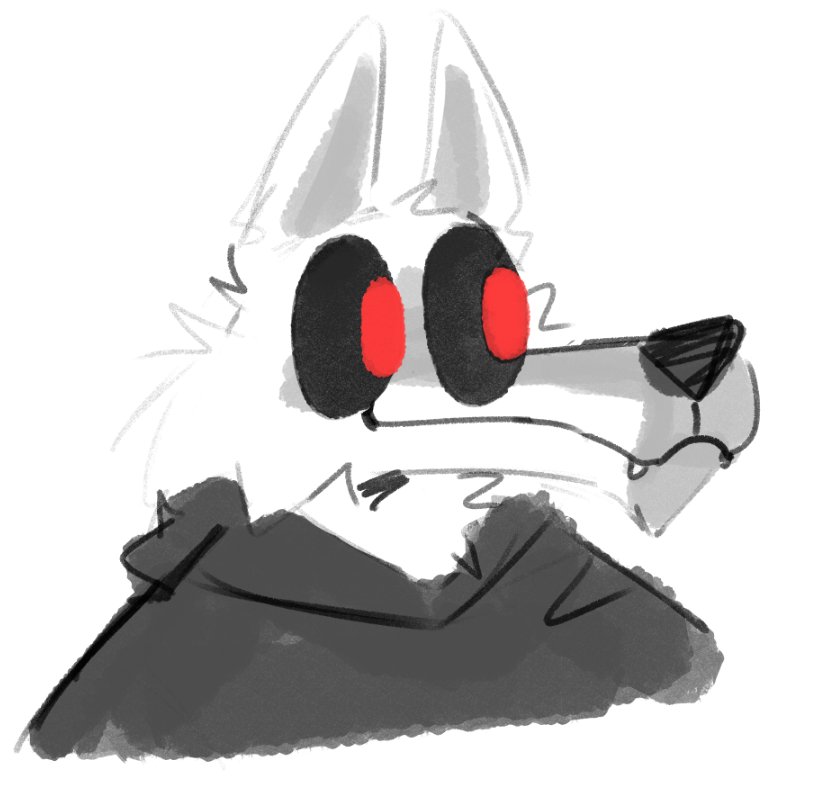 Vistrou 🇻🇪 (@vistrou) on Twitter photo 