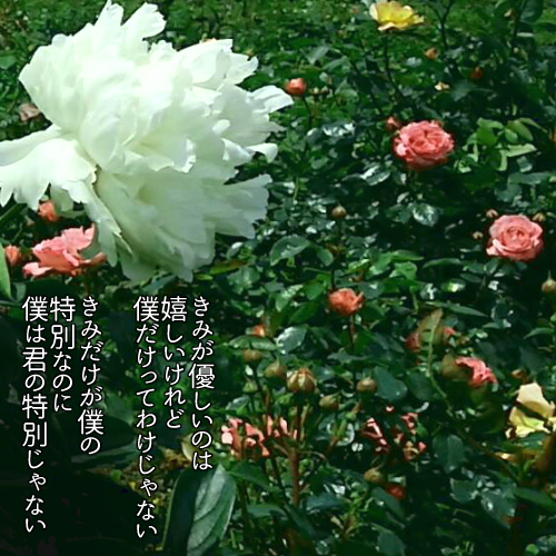 27tcl's tweet image. 今週もおつかれさまでした
良い週末を
#ポエム #詩