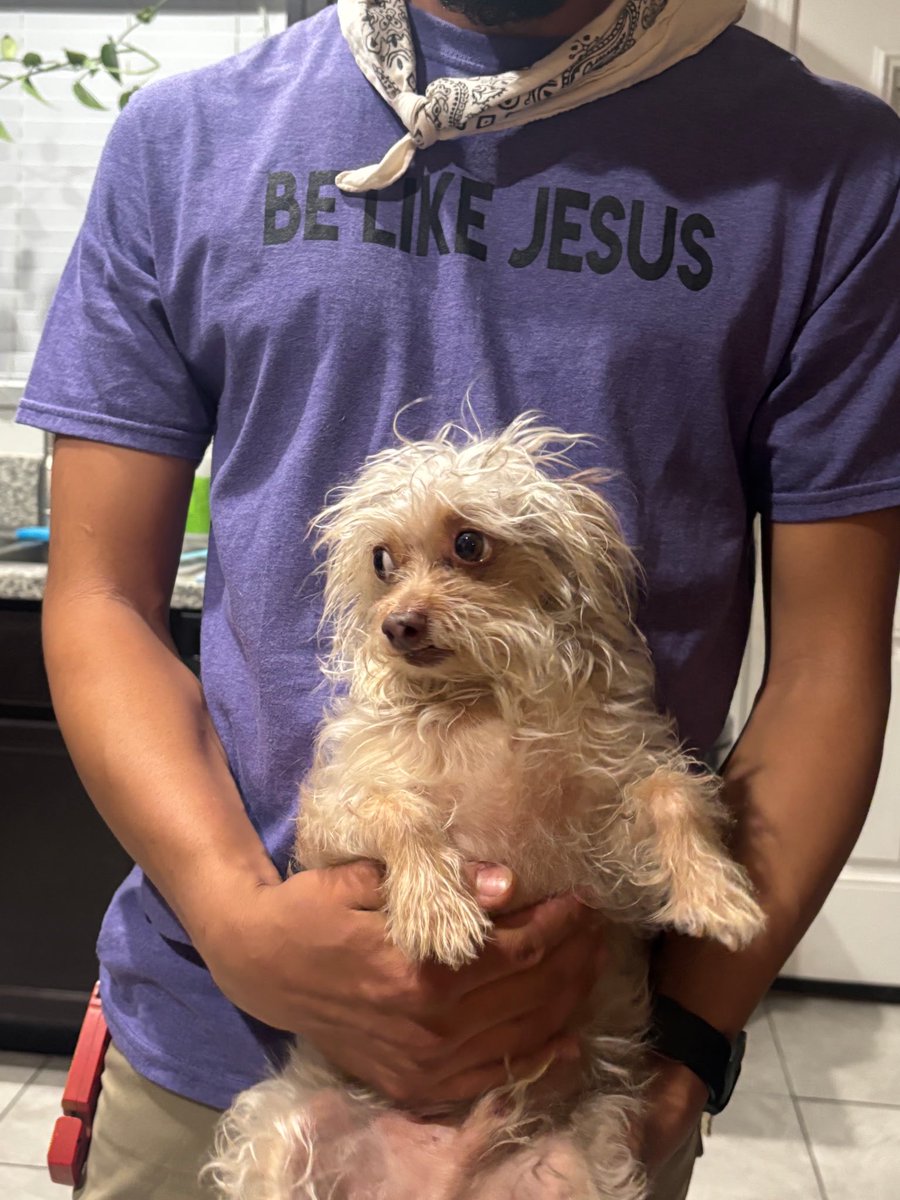 yisela (@yiselart) on Twitter photo 