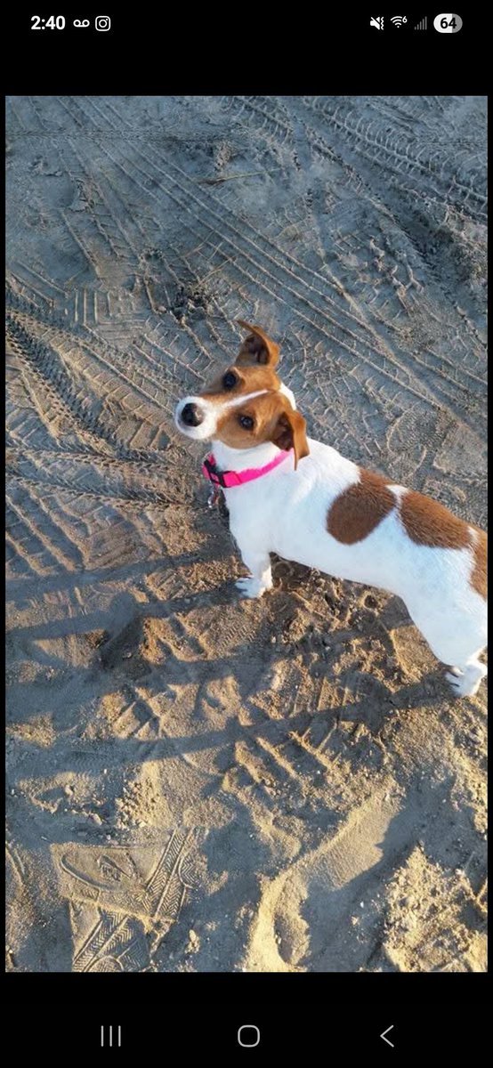 Lady Sublim3 tweet media