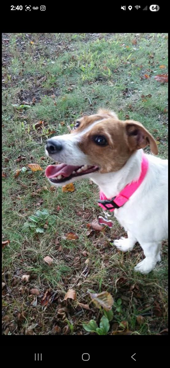 Lady Sublim3 tweet media