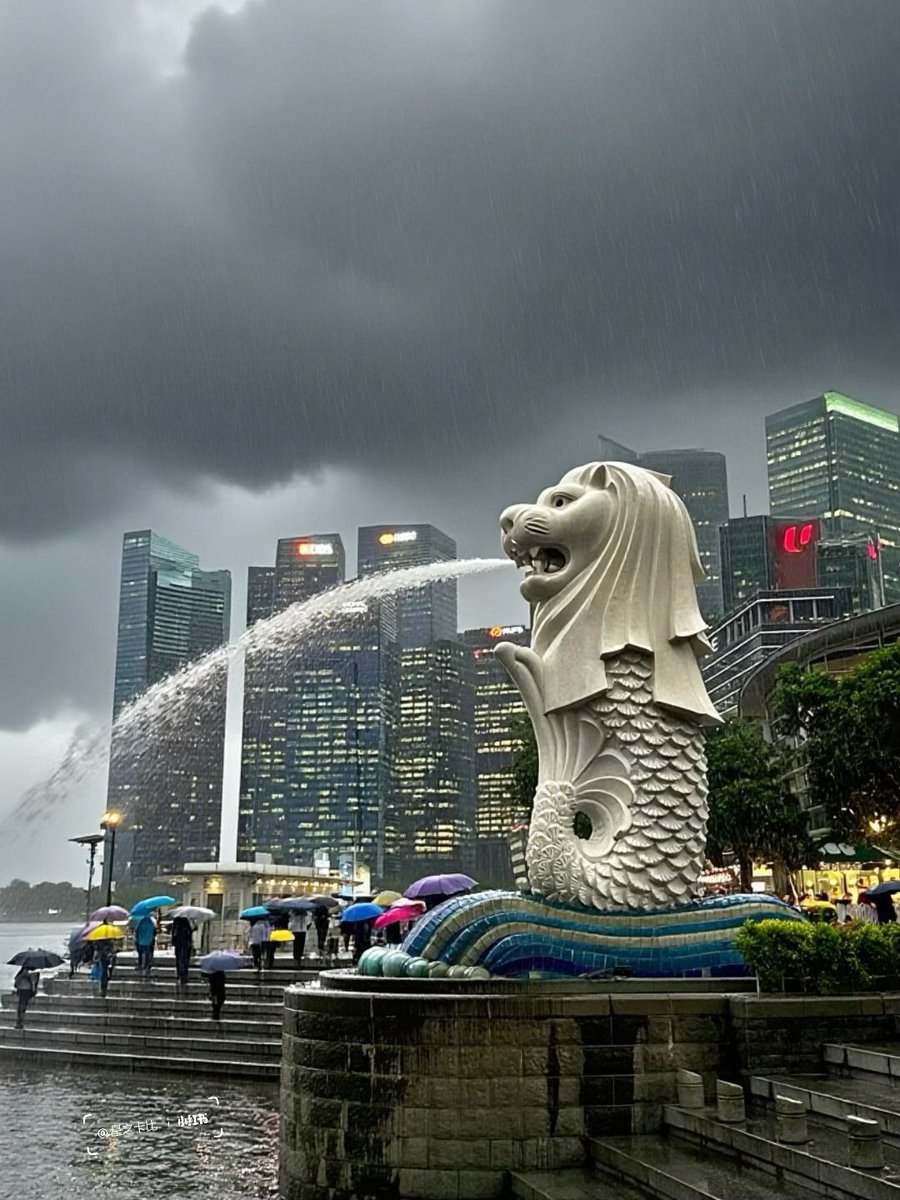 CorevcShort's tweet image. シンガポールの今の様子、来たときは元気だったのに帰れなくなっちゃった、あはは。 シンガポールに旅行を考えているお友だちには、もう少し時間を置いてから来るのをおすすめしますね〜☔️ #シンガポール #雨 #旅行