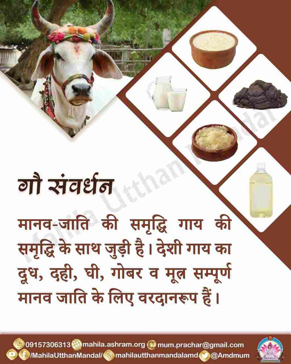 मानव जाति की समृद्धि गाय की समृद्धि के साथ जुड़ी है।
#नवरात्रि  की #दुर्गाष्टमी हो, चाहे होली दिवाली या कोई भी वार-त्यौहार, या हो कोई रोग #गौमाता के गव्यों का उपयोग किया ही जाता है। गाय के दूध, दही, घी, गोबर व गौमूत्र सम्पूर्ण मानव जाति के लिए वरदानरूप है।

#SaveDesiCow