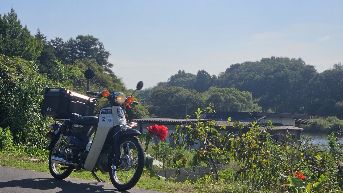 田舎道は冒険のしがいがある。
1本道入れば良い景色が広がっているかもしれない。