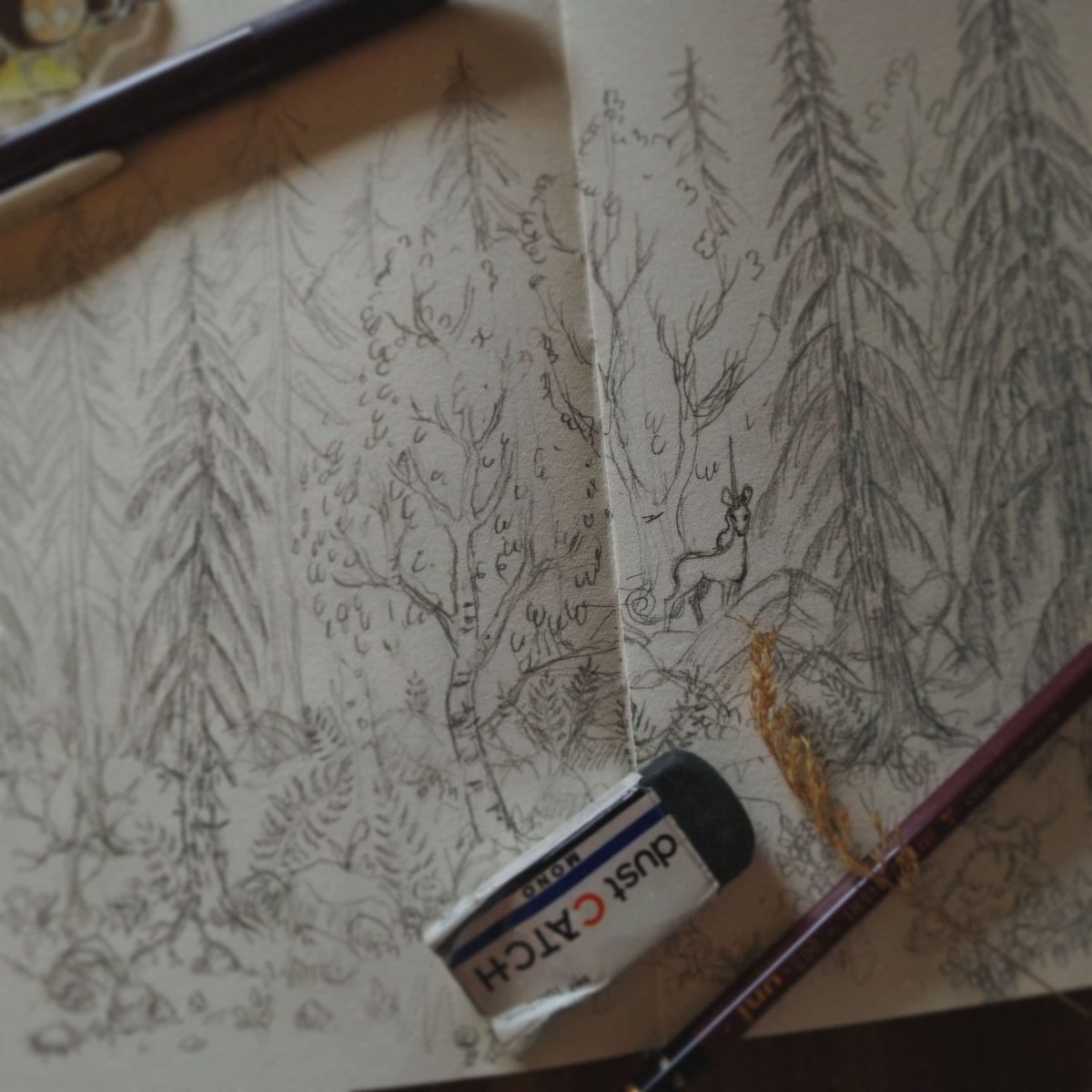 stäpfel | tree 🍄 ᛏᚱᛖᛖ tweet media