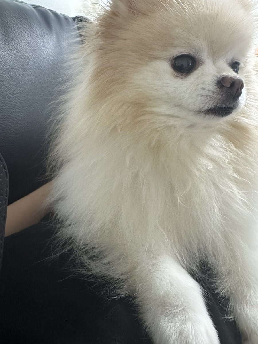 ぐらんページ☆ GODSIZE - 《受注生産》PENDANT [OPEN CROSS] / オープンクロス