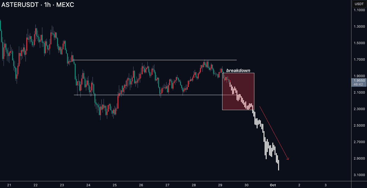 ardizor 🧙♂️ tweet media
