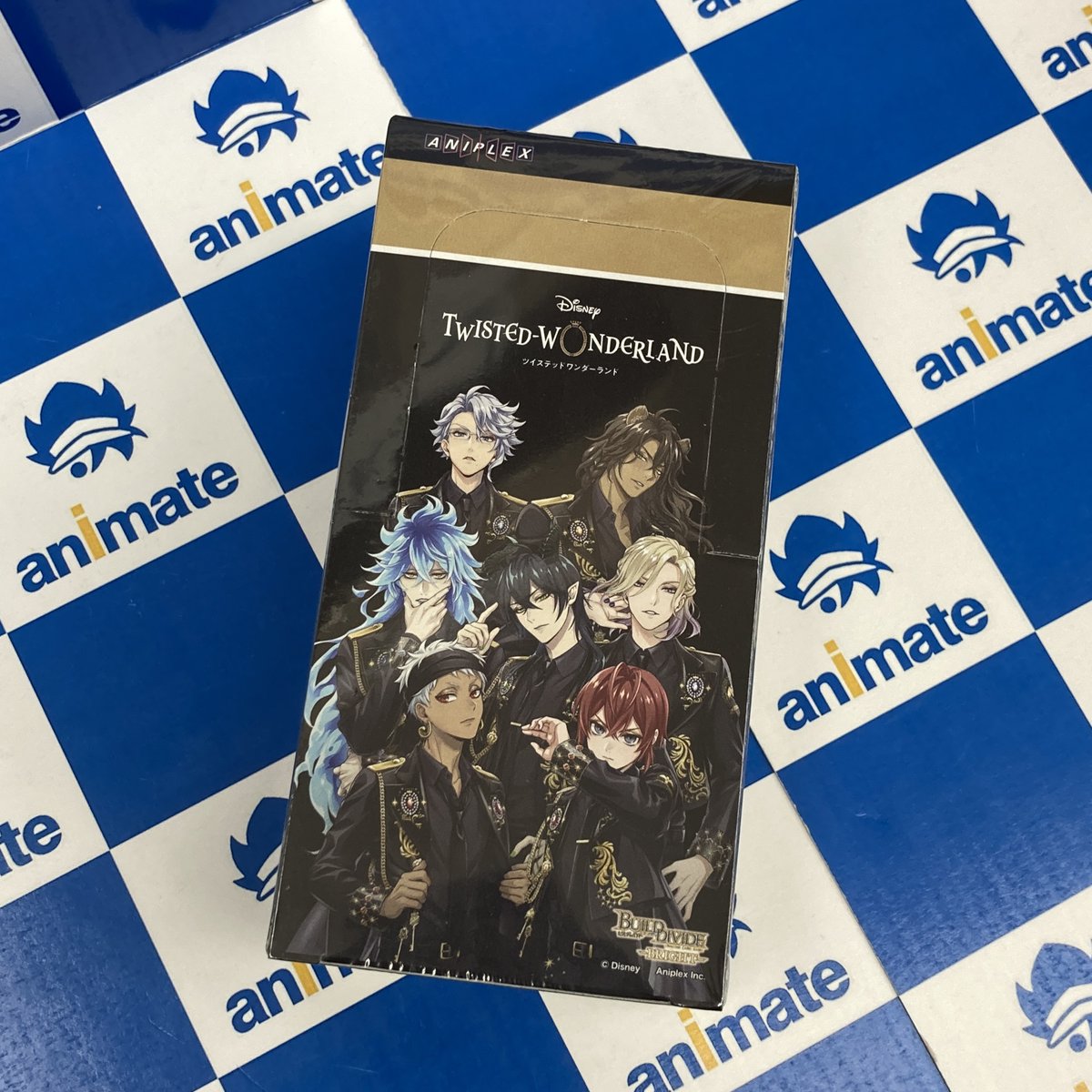 ビルディバイド ツイステッドワンダーランド プロモーションパックVT